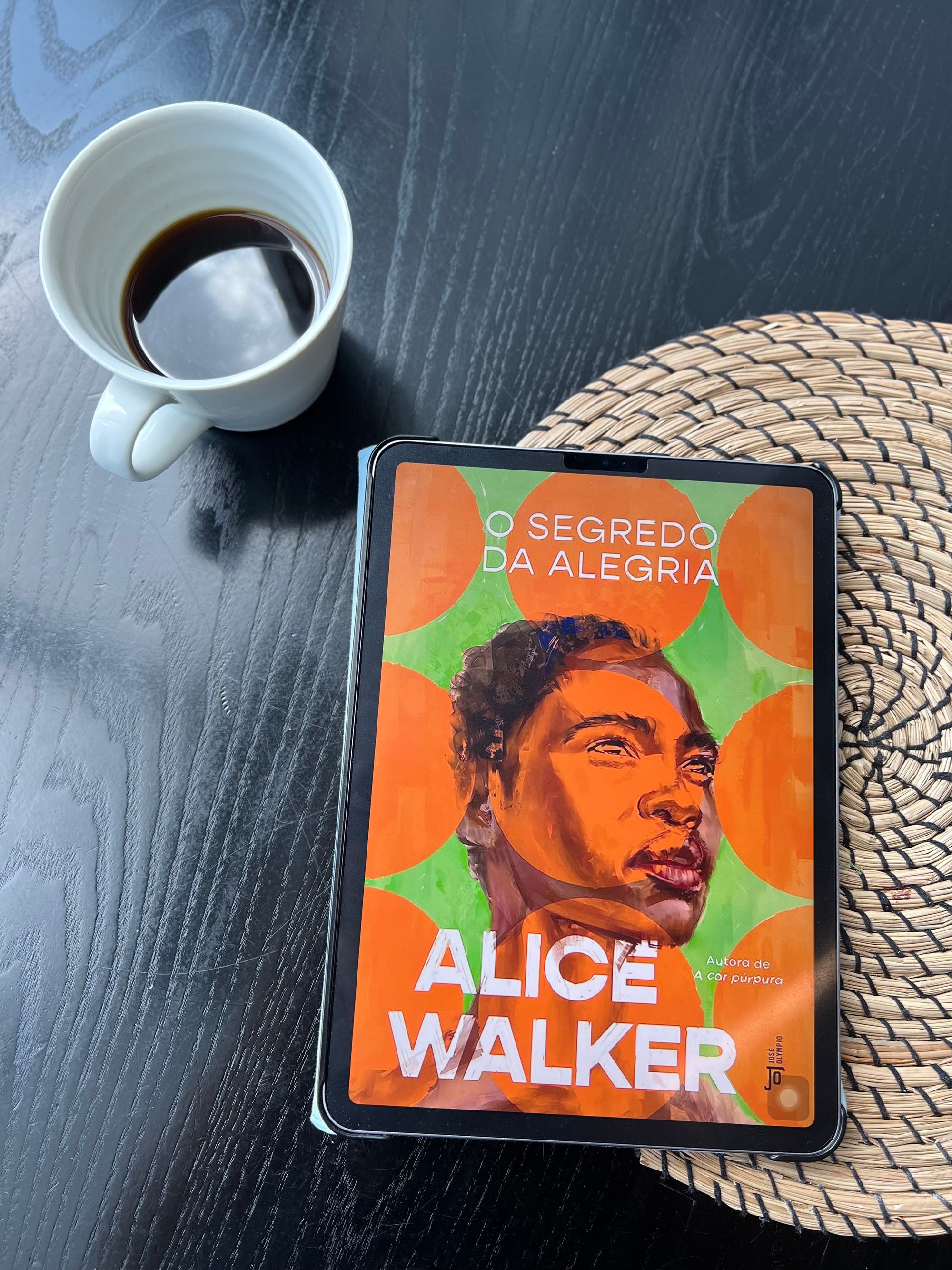 O segredo da alegria - Alice Walker